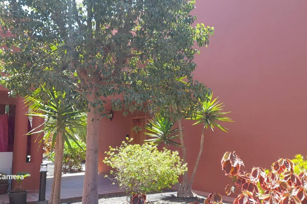 Apartment Cumbre Vieja Fuerteventura Κοραλέχο Εξωτερικό φωτογραφία