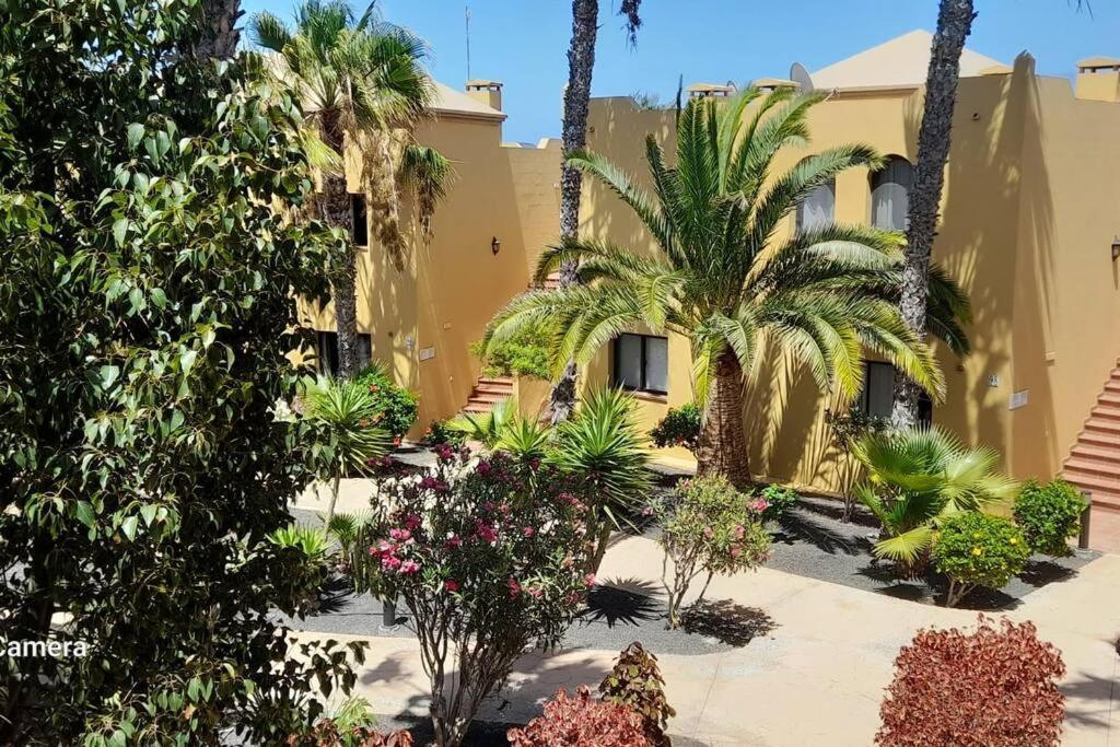 Apartment Cumbre Vieja Fuerteventura Κοραλέχο Εξωτερικό φωτογραφία